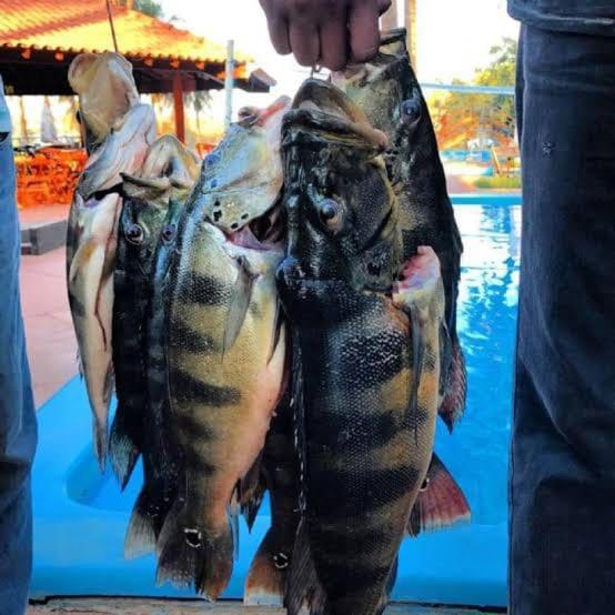 Casa Cardoso Isla Cancun Resort エクステリア 写真